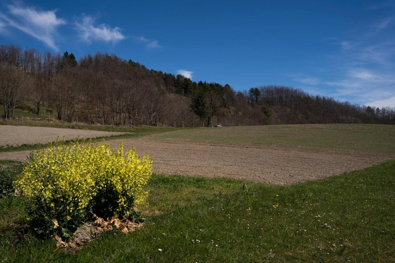 028 - Agriturismo "Il Boschetto" Con Piscina, Pace E Natura - Camera Familiare Cavizzano Εξωτερικό φωτογραφία