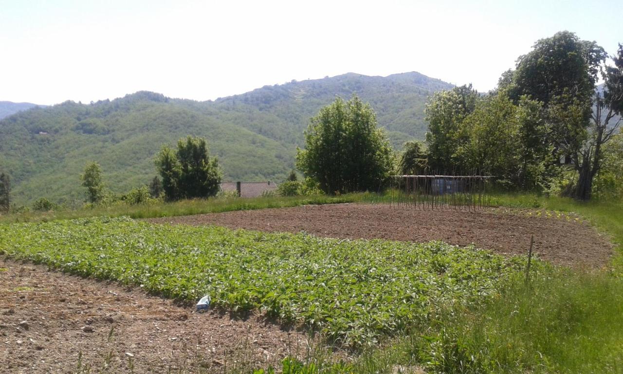 028 - Agriturismo "Il Boschetto" Con Piscina, Pace E Natura - Camera Familiare Cavizzano Εξωτερικό φωτογραφία