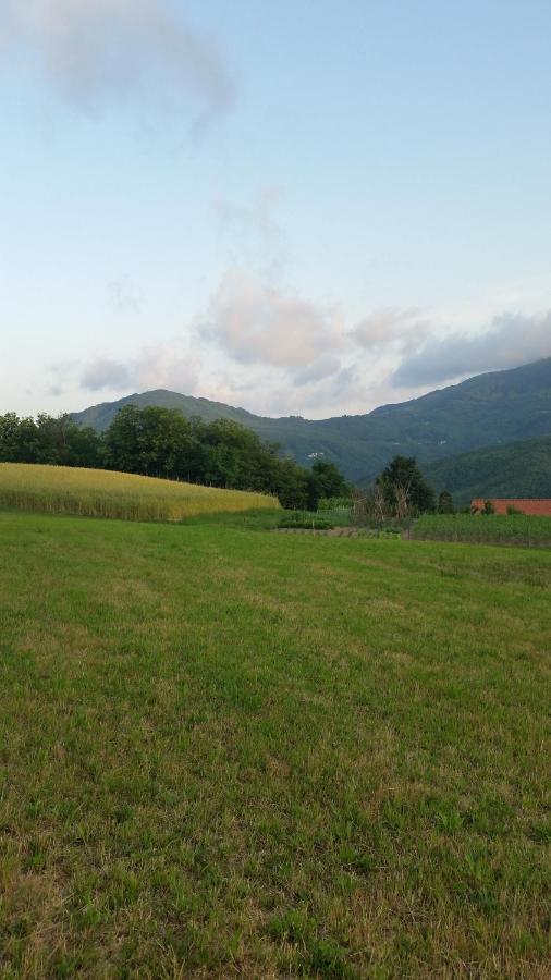 028 - Agriturismo "Il Boschetto" Con Piscina, Pace E Natura - Camera Familiare Cavizzano Εξωτερικό φωτογραφία
